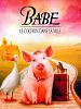 poster de Babe, le cochon dans la ville