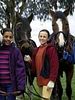poster de Grand galop
