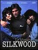 poster de Le Mystère Silkwood