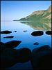 poster de Les Grands Lacs américains : espèces menacées