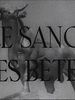 poster de Le Sang des bêtes