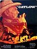 poster de Catlow