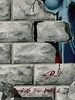 poster de Pink Floyd - Behind The Wall