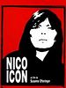 poster de Nico Icon