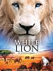 poster de White Lion