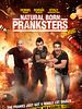 poster de Natural Born Pranksters
