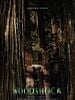 poster de Woodshock