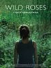 poster de Dzikie Róze