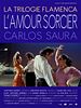 poster de L'Amour sorcier