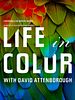 poster de La Vie en couleurs avec David Attenborough