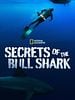 poster de L'invasion des requins-bouledogues