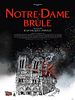 poster de Notre-Dame brûle