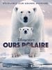 poster de Ours Polaire