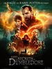 poster de Les Animaux Fantastiques : les Secrets de Dumbledore