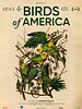 poster de Birds of America