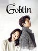 poster de Gobelin