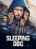 poster de Sleeping Dog