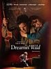 poster de Dreamin’ Wild