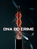 poster de Le Code du crime