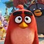 Photo 3 pour Angry Birds : Copains comme cochons