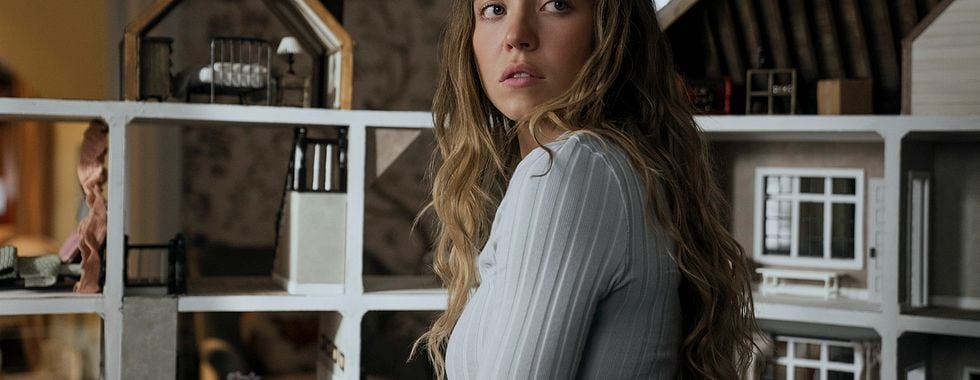 Photo du film La Femme de ménage