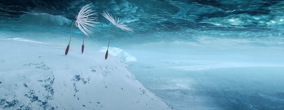 Photo du film Planètes