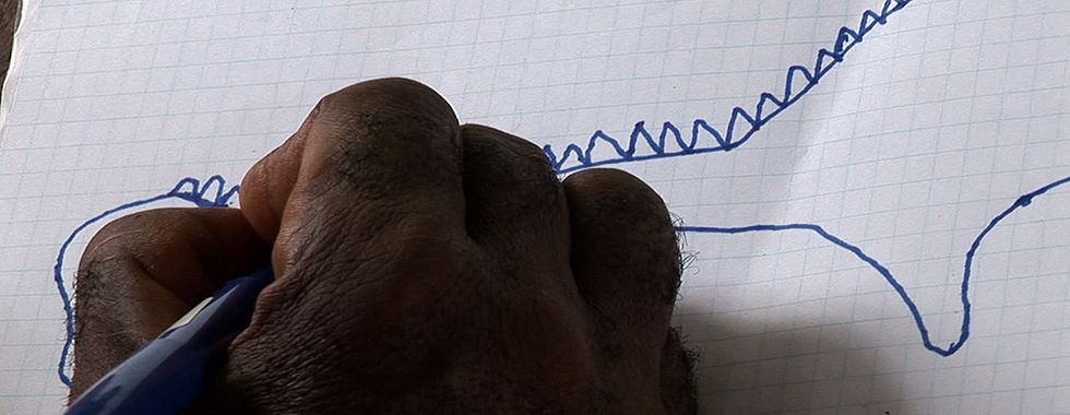 Photo du film L'Hypothèse du Mokélé M'Bembé