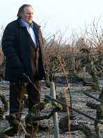 poster de Grenouille d'hiver