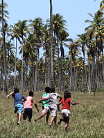 poster de Sem Coração (short)