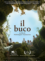 poster de Il buco