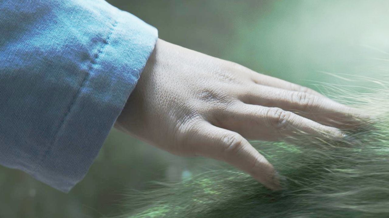 Ce soir en famille : tout simplement l'une des plus extraordinaires histoires d'amitié des 10 dernières années