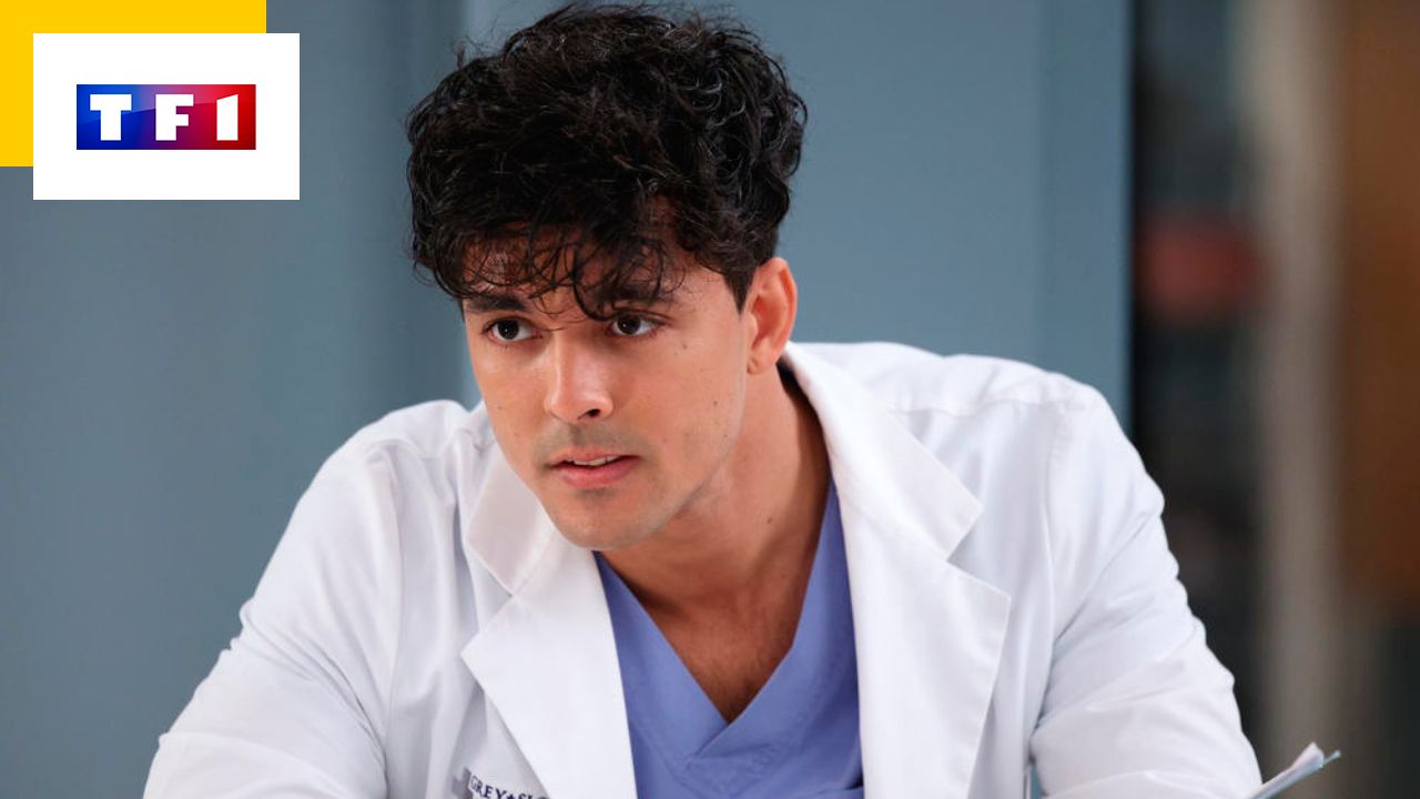 Grey’s Anatomy on TF1: Who is Lucas’ mother?  Discover the crazy fan theories