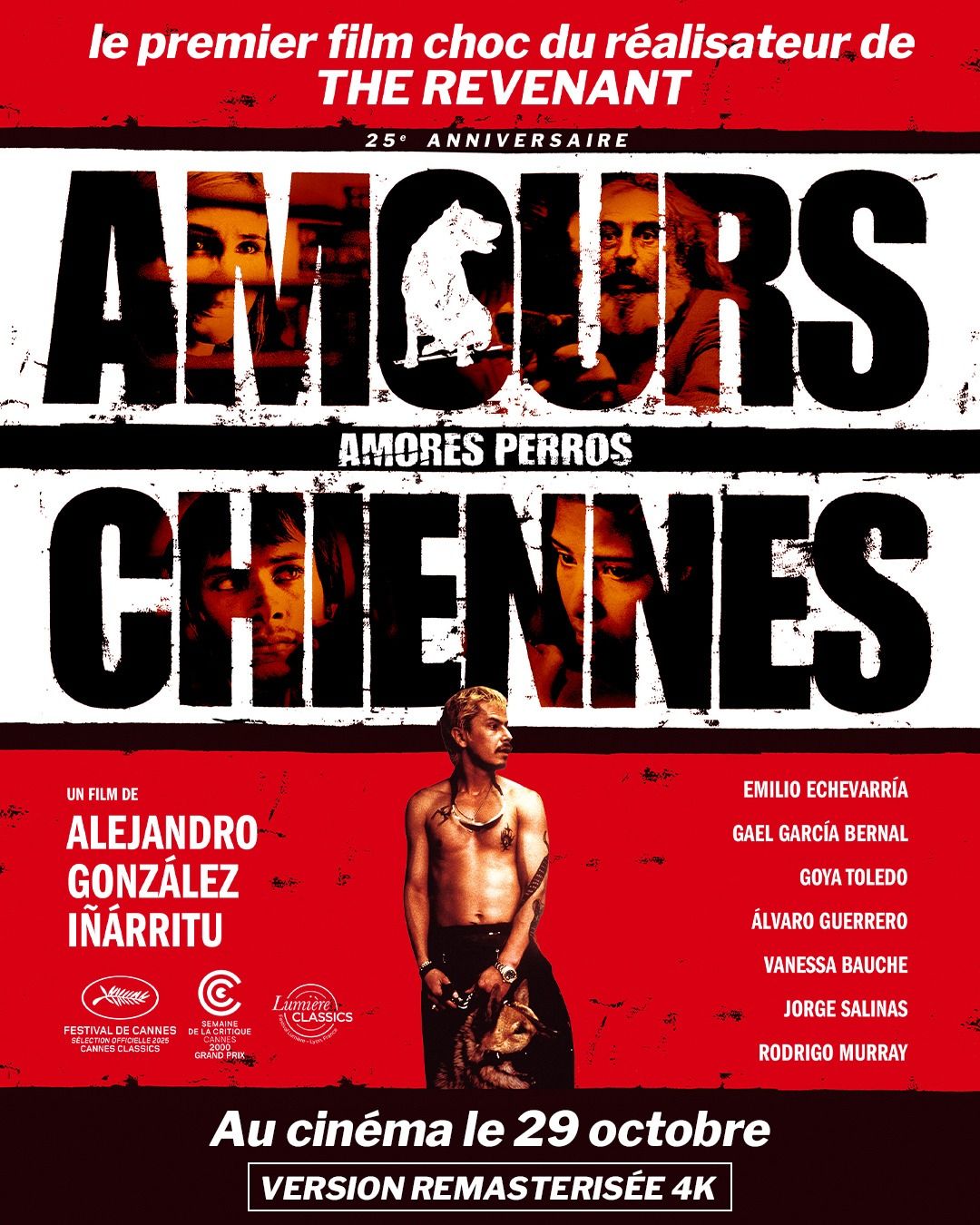 Amours chiennes streaming