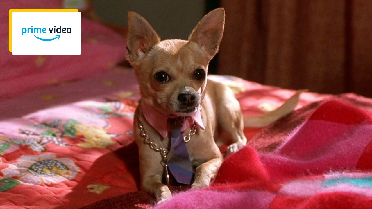 1.7 million in revenue: This iconic 2000s comedy is getting a TV series!