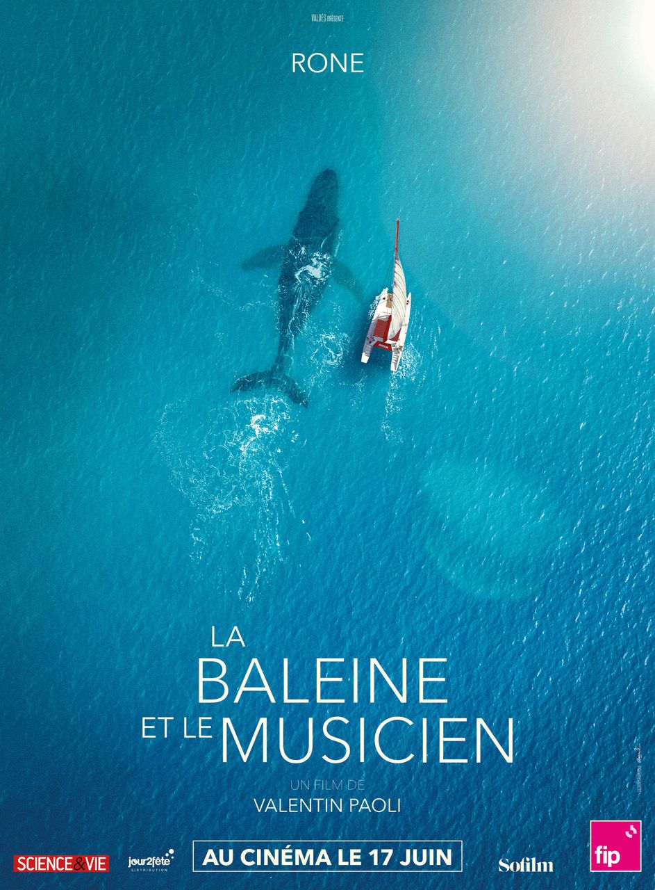 La Baleine et le musicien