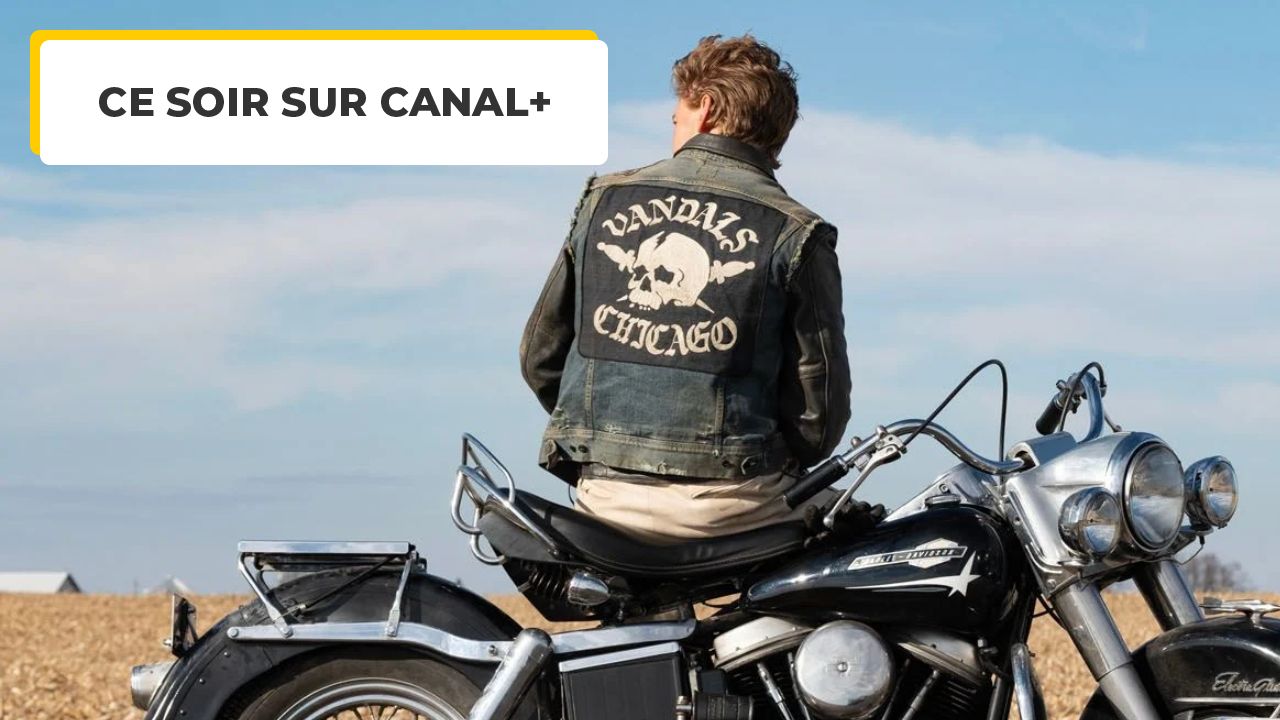 Tonight on Canal+: Tom Hardy and Austin Butler give you a taste of freedom
