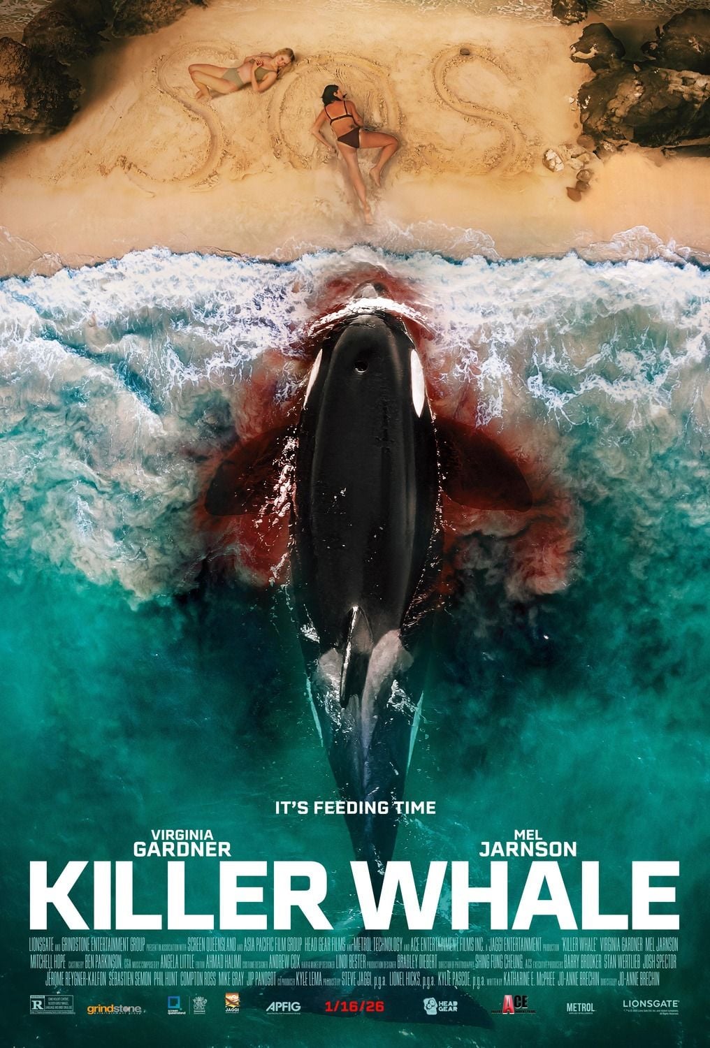 Killer Whale streaming gratuit