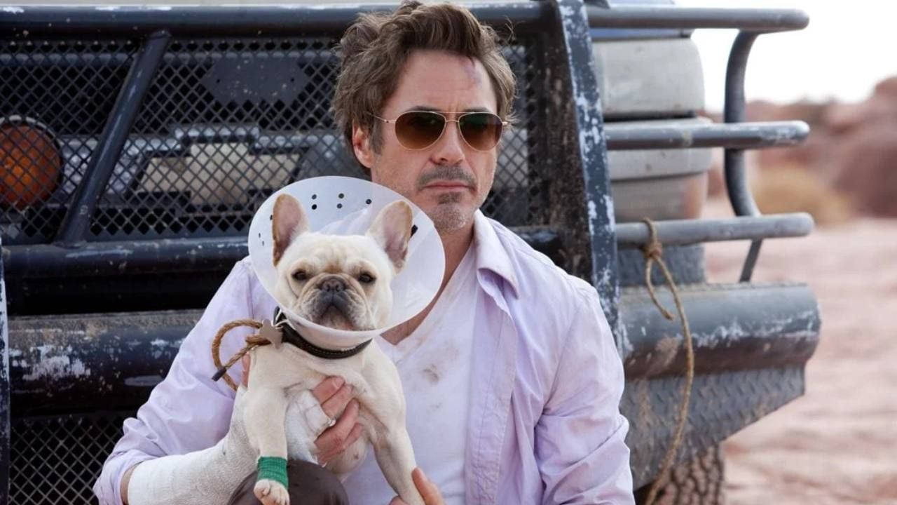 Due Date Movie Review: Robert Downey Jr. and Zach Galifianakis Shine in Todd Phillips Comedy - News Directory 3