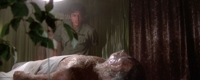 Un jeune Jeff Goldblum dans 