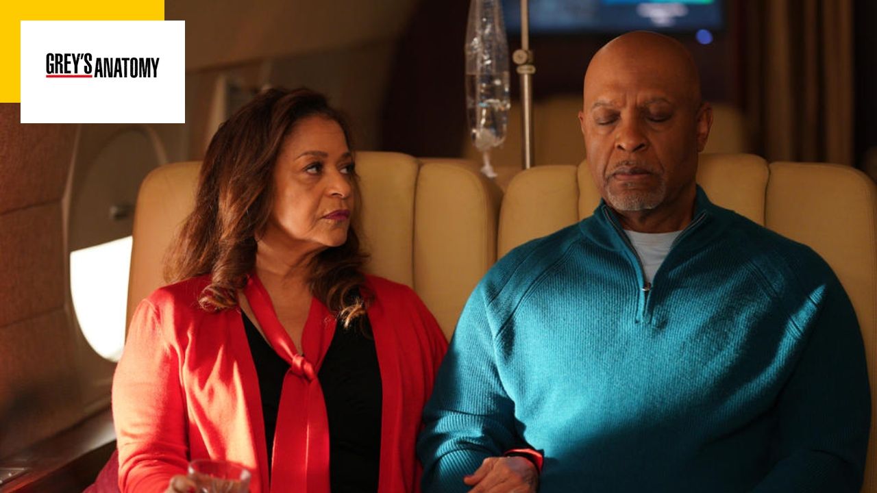 Grey’s Anatomy: A major character between life and death in the season 19 finale