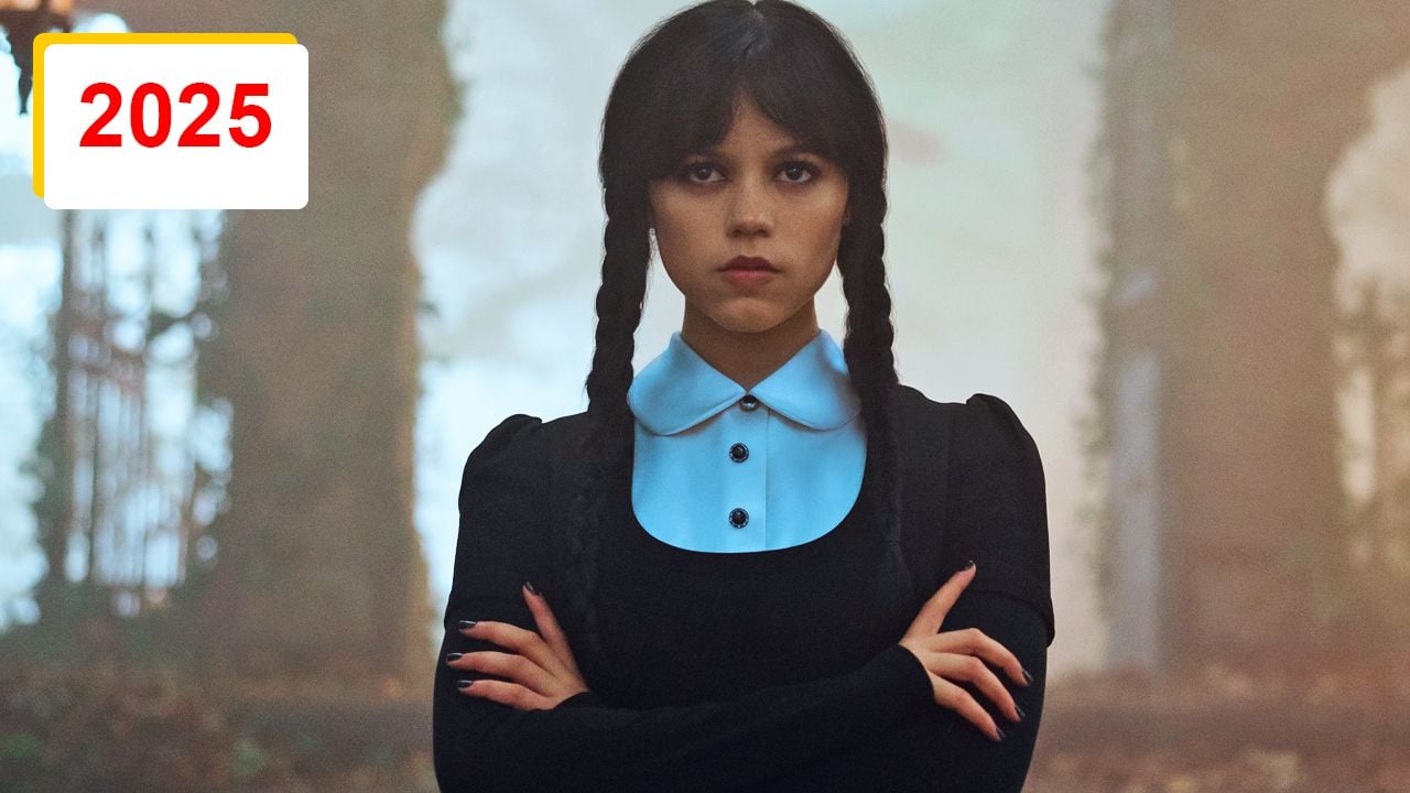 All series were canceled and renewed in 2025 for streaming and television