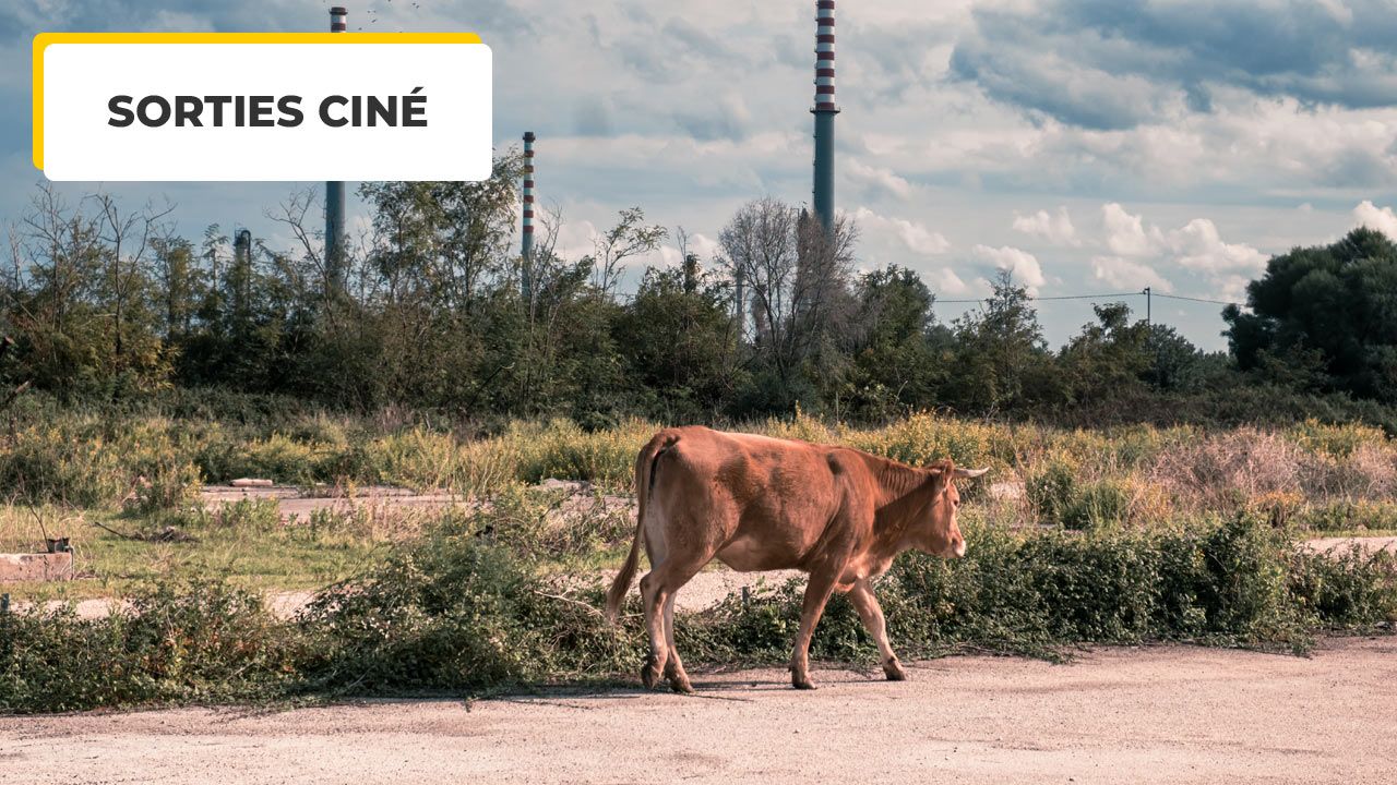 “We work like slaves…” A huge health scandal at the heart of one of the best documentaries of the year.