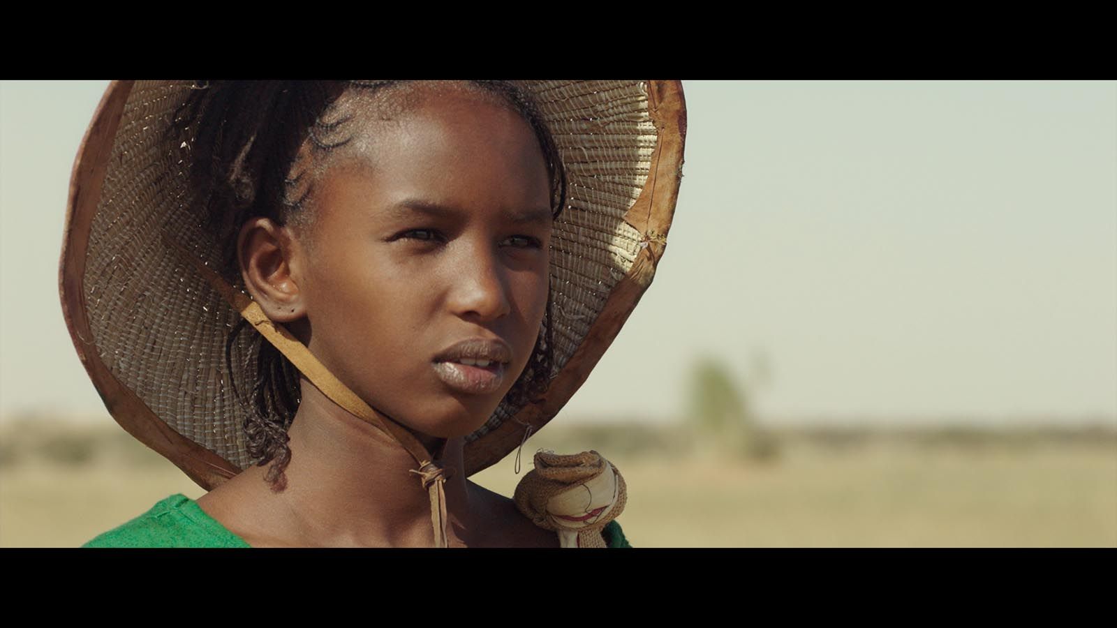 YOKIVE 20 Pièces étal Oxyde Fil Résistances, Axe Plo Résistance, Garder Noral Circuit