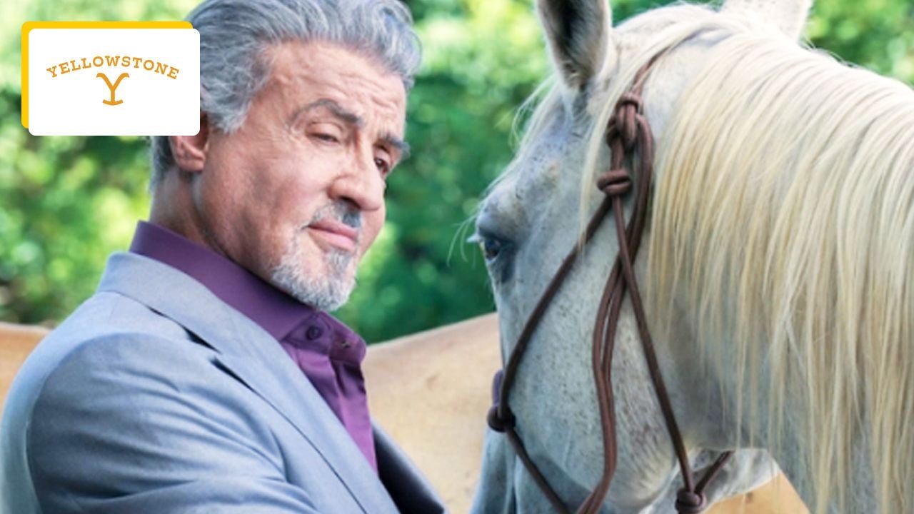 Sylvester Stallone in Yellowstone? Sly is ready for it and he knows what role he wants to play!