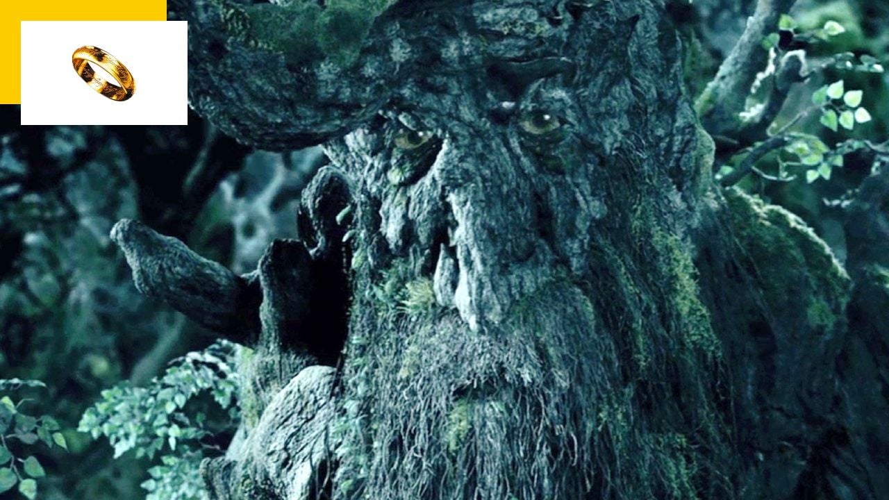 Lord of the Rings: The Talking Tree has the voice of a famous actor in the saga and no one noticed