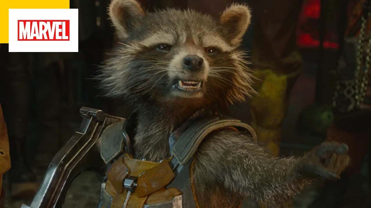 Every great director hates Marvel except him!