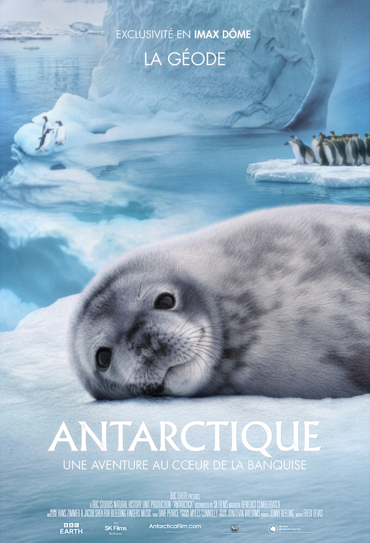 Movie cover