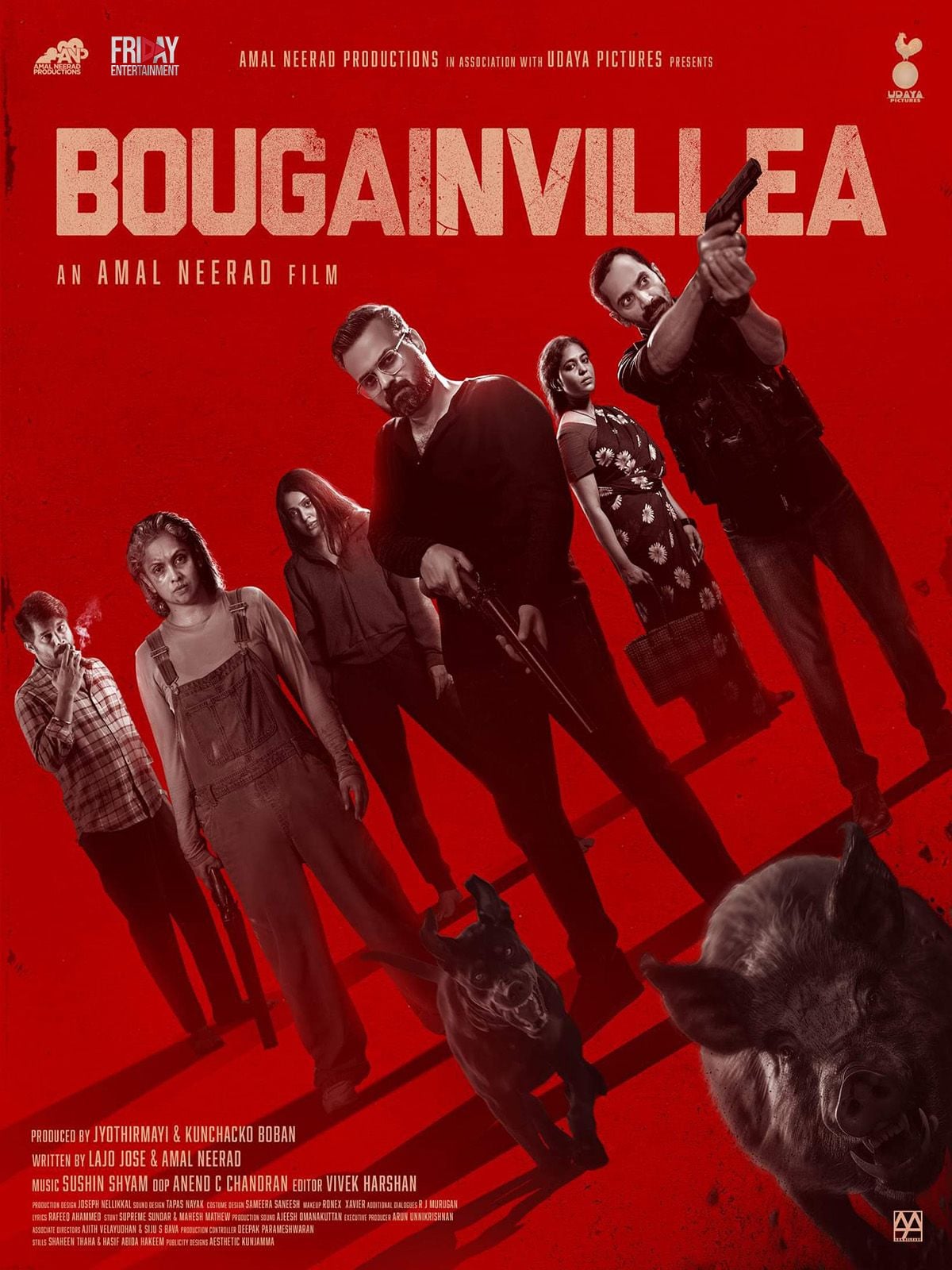 Bougainvillea streaming gratuit