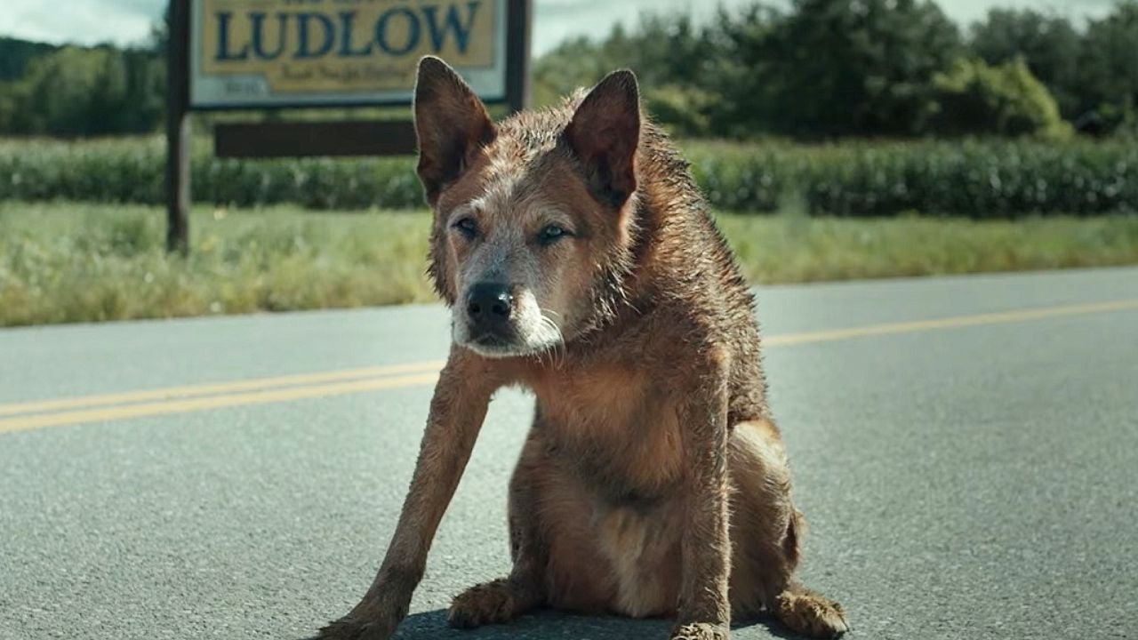 NEW IN STREAMING: This is one of the rare horror movies adapted from his books, certified by Stephen King