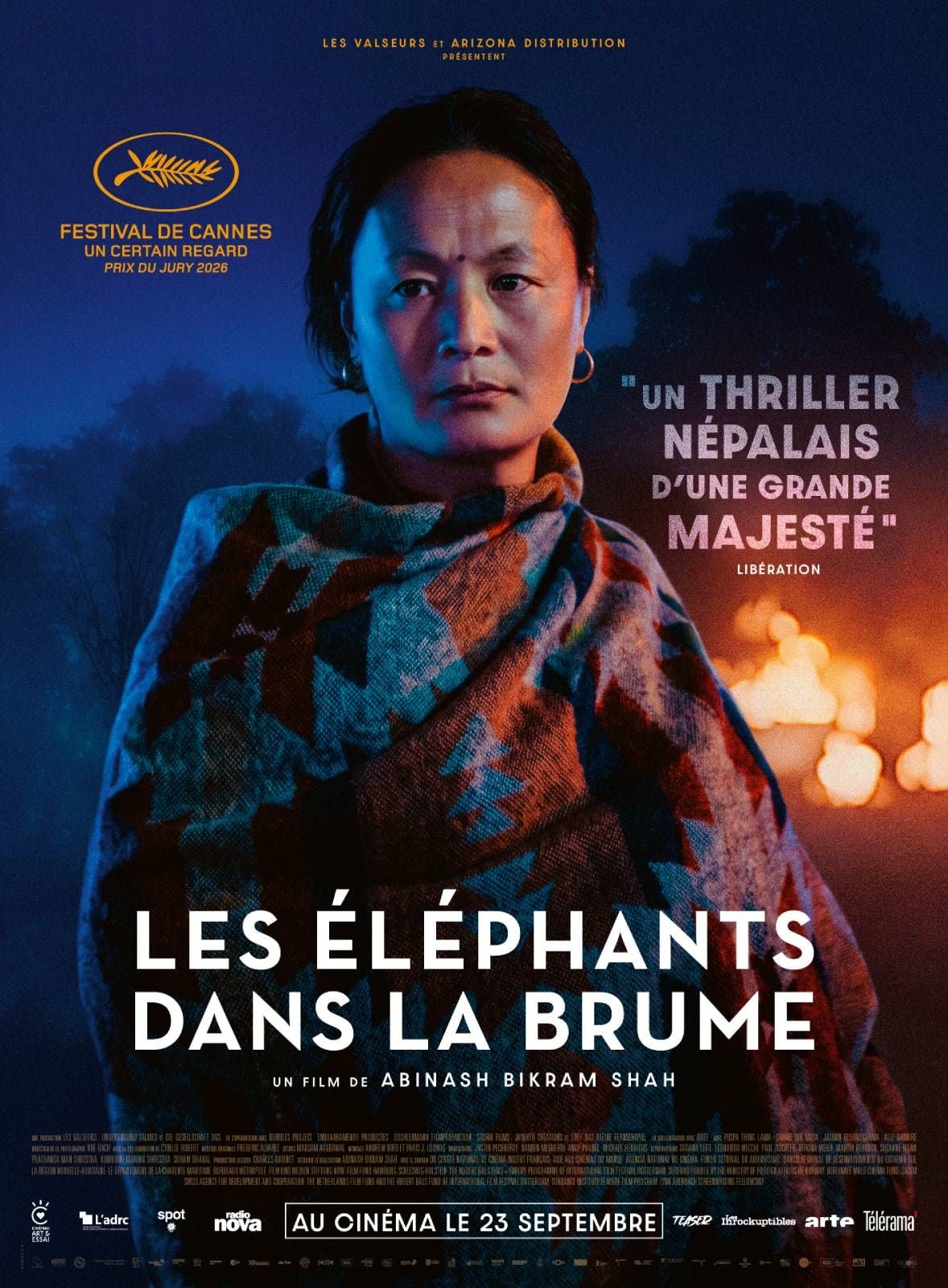 Les Elephants dans la brume